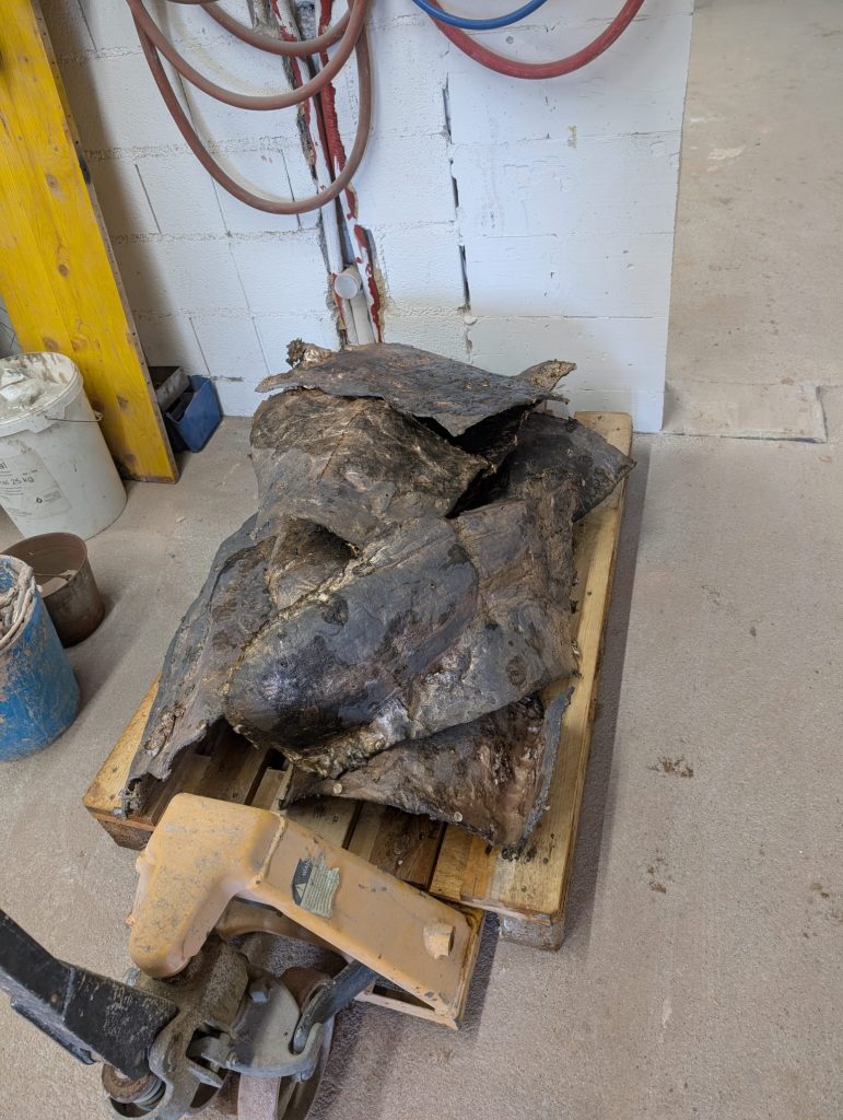 Kosi Sejalca v bronu